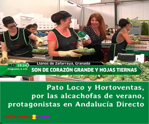Pato Loco y Hortoventas, por las alcachofas de verano, protagonistas en Andalucía Directo