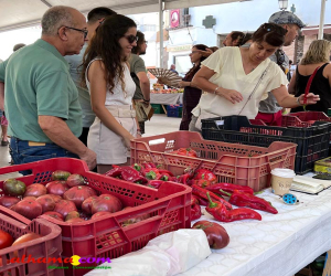 El diario El País publica en su edición del 15 de septiembre un artículo en el que resalta la recuperación de semillas autóctonas, entre las que figura Alhama