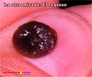 La otra mirada: El regreso