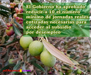 El Gobierno ha aprobado reducir a 10 el número mínimo de jornadas reales cotizadas necesarias para acceder al subsidio por desempleo