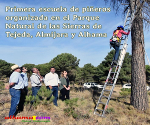 Medio Ambiente clausura la primera escuela de piñeros organizada en el Parque Natural de las Sierras de Tejeda, Almijara y Alhama