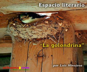 La golondrina