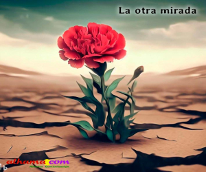 Desde “Desolación”