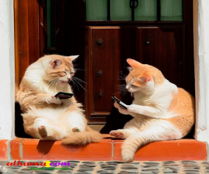 Ya no quedan veraneos como los de antes