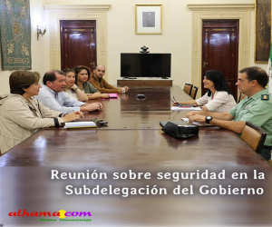 Reunión sobre seguridad en la Subdelegación del Gobierno