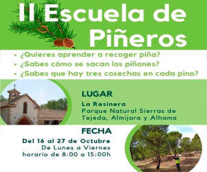 Segunda escuela de piñeros en La Resinera