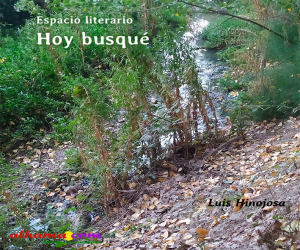 Recuerdos de la infancia III.  Hoy busqué