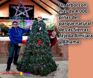 Olga Casado y el Complejo Rural El Molinillo sorprenden con un árbol de Navidad hecho con piñas naturales, único y original