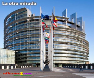 Dejad de votar con la pequeña cabeza