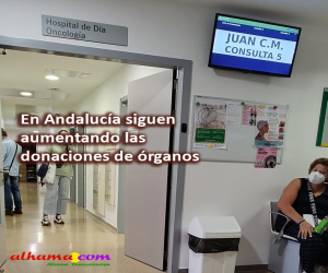 Pese al cada vez peor estado de la sanidad en Andalucía los ciudadanos generosos aumentan las donaciones de órganos 