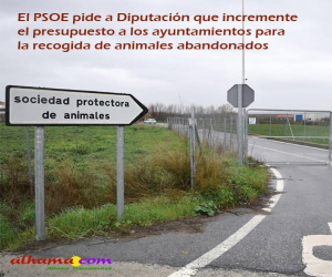 El PSOE pide a Diputación que incremente el presupuesto a los ayuntamientos para la recogida de animales abandonados 