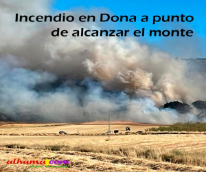 Incendio en Dona a punto de alcanzar el monte
