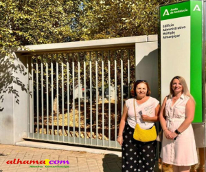 Reunión en la Delegación de Empleo en Granada con la asistencia de la presidenta de la Mancomunidad de Municipios