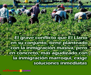 Aprender a olvidar (II)