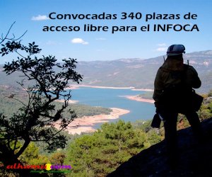 Convocadas 340 plazas de acceso libre para el INFOCA
