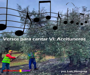 Versos para cantar VI: Aceituneros