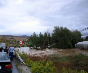 Daños por tormentas