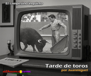 Tarde de toros