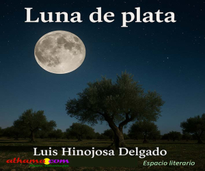 Luna de plata