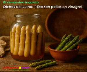 Dichos del Llano: “¡Eso son pollas en vinagre! 