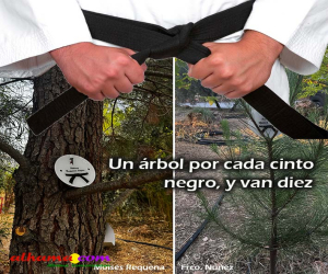 Un árbol por cada cinto negro, y van diez