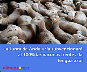 La Junta de Andalucía subvencionará al 100% las vacunas frente a la lengua azul