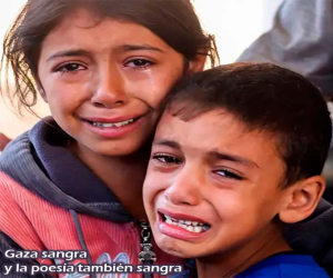 Gaza: fragmentos de ceniza y gritos