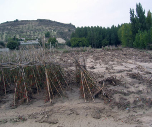 La agricultura provincial se resiente tras las fuertes tormentas