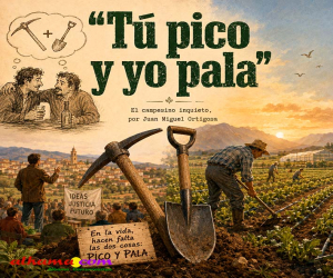 Tú pico y yo pala