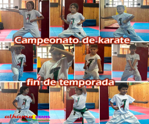 Campeonato de karate fin de temporada 