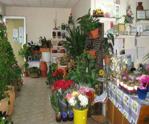 Todo Flor y Jardín lanza una servicio a domicilio