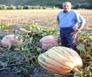 Capitán bate su propio récord