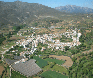 Fiestas en Játar 2008, del 14 al 17 de agosto