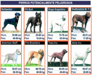 Nueva normativa para tenencia de perros peligrosos y animales salvajes peligrosos
