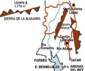 Caminando por los Senderos de Granada