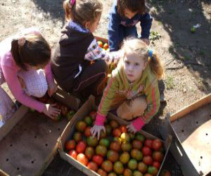 Doscientos escolares de Ventas de Zafarraya recogen verduras del campo para el Banco de Alimentos