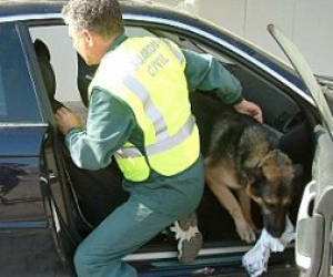 Detenido un vecino de Zafarraya en una operación antidroga que resultó herido en la huída