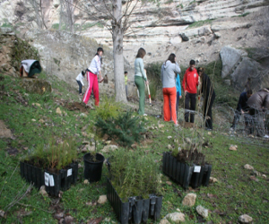 Una veintena de participantes en las Jornadas de Voluntariado Ambiental, 2009