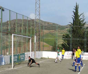 La UD Alhameña vuelve al descenso