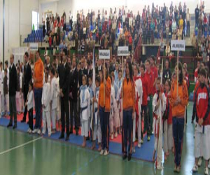 Celebrado el campeonato de Andalucía de kárate infantil