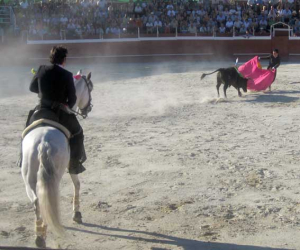 La ausencia de Batalla y los forcados portugueses protagonizaron los toros de Alhama