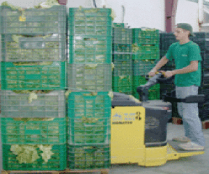 Los agricultores alertan del cierre de las explotaciones por la crisis