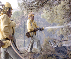Nueve detenidos en julio en Andalucía por provocar incendios