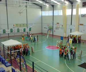 Recicla en Equipo: Juego, diversión y colorido.