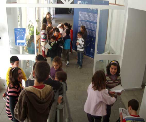 Exposición de aves esteparias de Andalucía