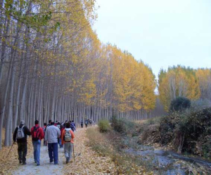 Paso a paso con el otoño