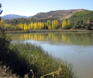 "La declaración de humedal  de la presa aumenta  la conservación de la flora y la fauna del entorno"