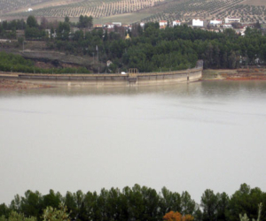 Los Bermejales, al 70 %,  el mismo nivel que hace una década