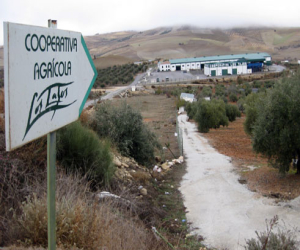 La Cooperativa Los Tajos cumple su 30º aniversario con 343 asociados