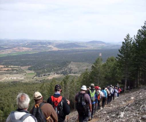 De las Mimbres a el Sotillo, una sencilla ruta diseñada para disfrutar caminando
